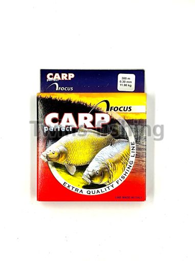 ШАРАНДЖИЙСКО ВЛАКНО FOCUS CARP PERFECT 0.30мм. 300м.