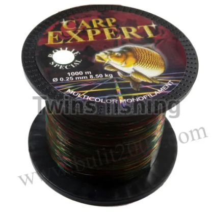 ШАРАНДЖИЙСКО ВЛАКНО CARP EXPERT MULTICOLOR 0.30мм 1000м.